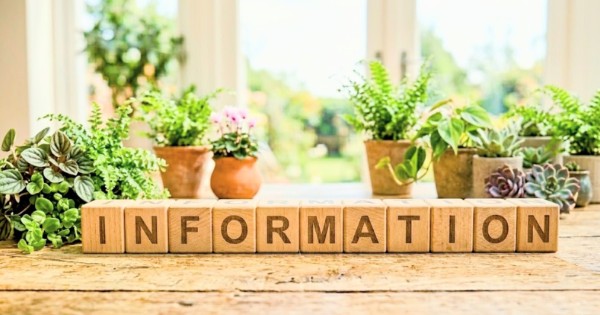 就労継続支援B型　愛媛　東温市　SKクラフト